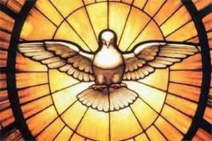 Dove of the Holy Spirit