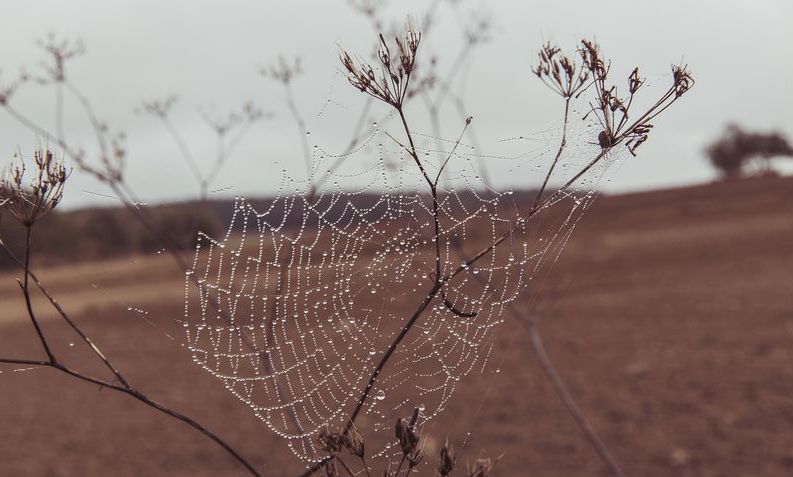 The Myth Of Freedom: We're All Captives