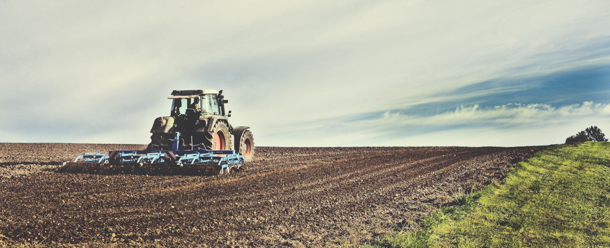 Christian, Pray to the Lord of the Harvest